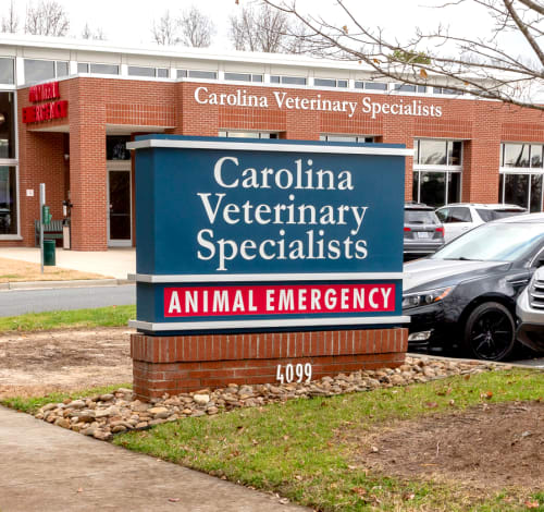Carolina Veterinary Specialists in Matthews