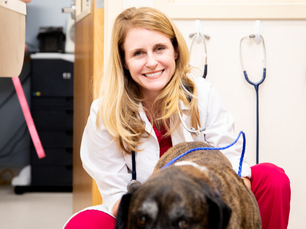 Specialists | Carolina Veterinary Specialists | Matthews Speciality & Emergency Vet