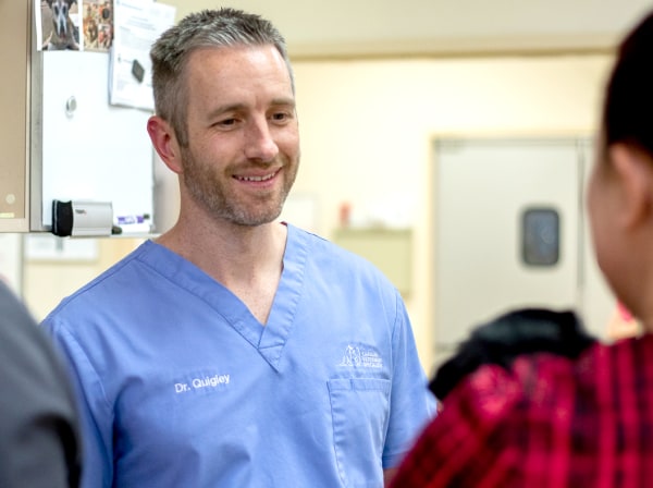 Specialists | Carolina Veterinary Specialists | Matthews Speciality & Emergency Vet